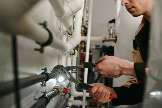 Best Clogged Drain Plumber  in Moore Haven, FL